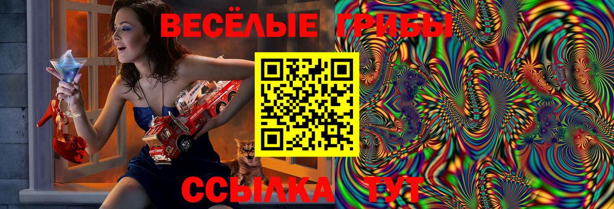 купить наркотик  Вход с VPN  Псилоцибиновые грибы Magic Shrooms  Лангепас  Псилоцибиновые грибы прущие грибы 